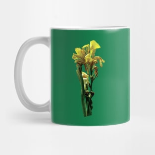 Cannas - Closeup of Yellow Canna Mug